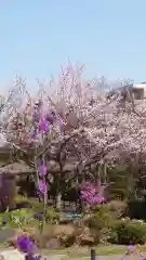 相馬神社の自然