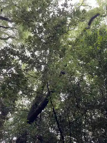 熱田神宮の自然