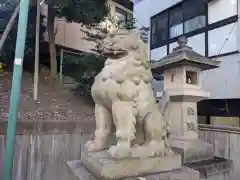 白金氷川神社の狛犬