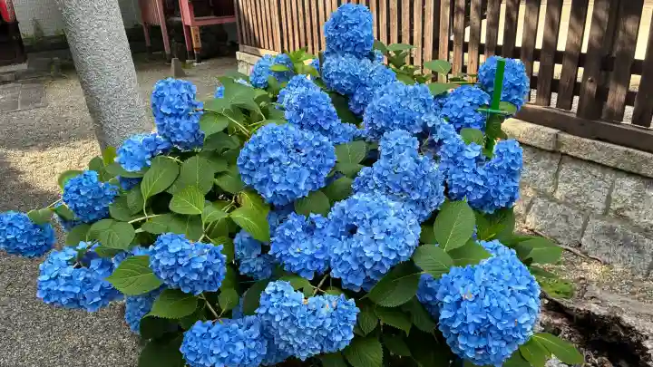 石坐神社(滋賀県)