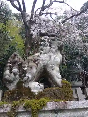 大豊神社(京都府)