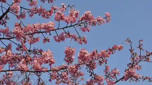 車折神社の自然