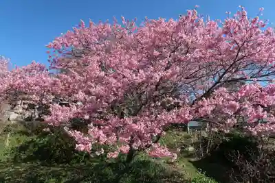 瑠璃寺(長野県)