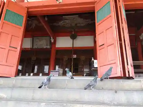 津観音の本殿・本堂