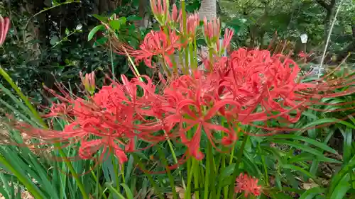 平野神社(京都府)