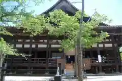 豊国神社 の本殿