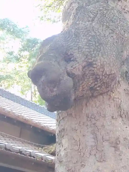 氷川女體神社(埼玉県)