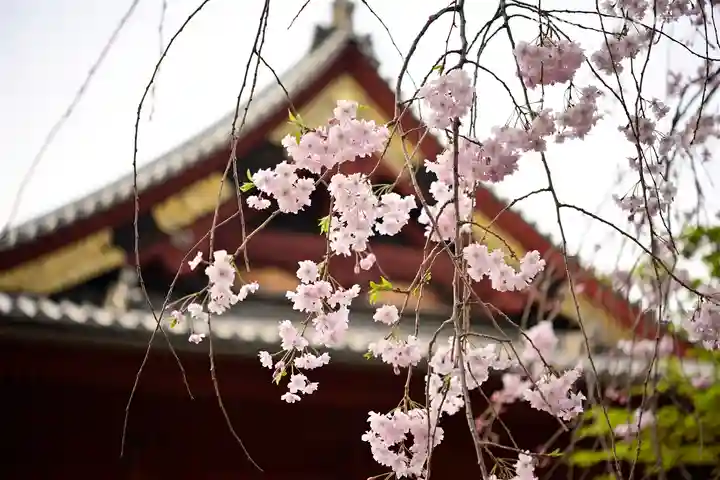 清水観音堂の自然