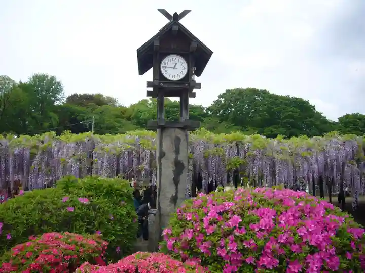 玉敷神社(埼玉県)