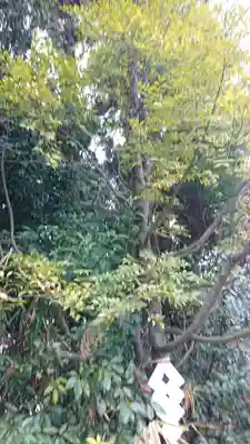 新熊野神社(京都府)