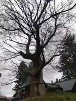 大和神社(新潟県)