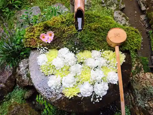 柳谷観音　楊谷寺の手水舎