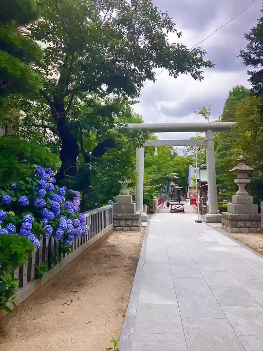 松戸神社(千葉県)
