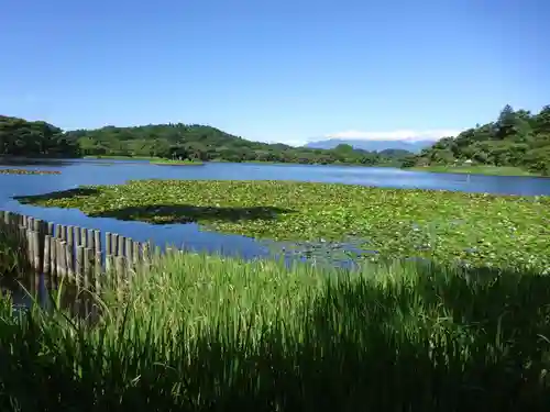 南湖神社の自然