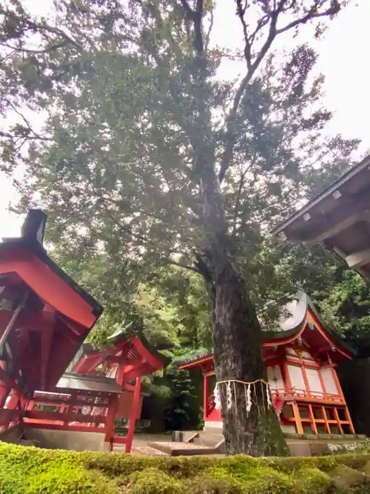 勝浦八幡神社(和歌山県)