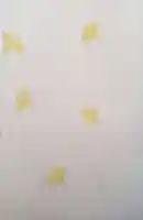 荻窪白山神社(東京都)