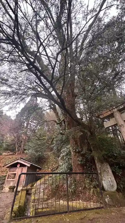 高龗神社(奈良県)