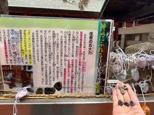 住吉大社(大阪府)