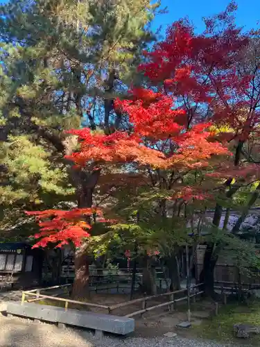 中尊寺の景色