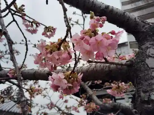 是字寺龍海院の自然