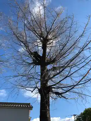 御劔神社の自然