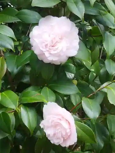 城南宮(京都府)