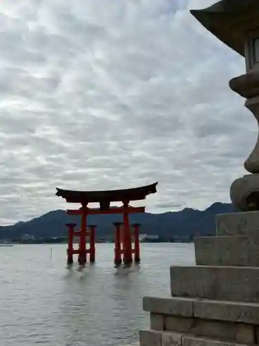 厳島神社の{uncategorized: "未分類", other: "その他", undefined: "問題あり", building: "その他建物", grave: "お墓", sacred_gate: "鳥居", guardian: "狛犬", statue: "像", buddha: "仏像", history: "歴史", nature: "自然", garden: "庭園", animal: "動物", pagoda: "塔", temizu: "手水舎", mountain_gate: "山門・神門", sanctuary: "本殿・本堂", subordinate: "末社・摂社", art: "芸術", scenery: "景色", jizo: "地蔵", ema: "絵馬", goshuin: "御朱印", omikuji: "おみくじ", items: "授与品その他", amulet: "お守り", goshuincho: "御朱印帳", eats: "食事", festival: "お祭り", votive_dance: "神楽", shichigosan: "七五三参", wedding: "結婚式", experience: "体験その他", initially: "初詣", around: "周辺", anti_infection: "感染症対策"}