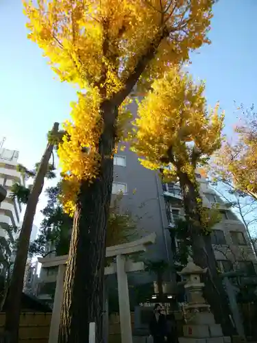 高円寺氷川神社のその他建物