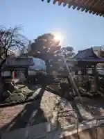 圓照寺(東京都)