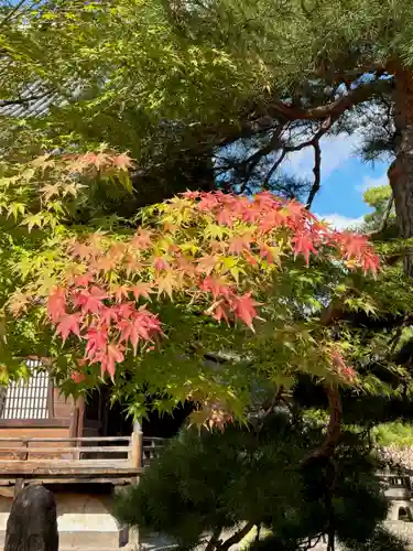 蚊里田八幡宮(長野県)