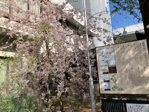 名古屋東照宮の庭園