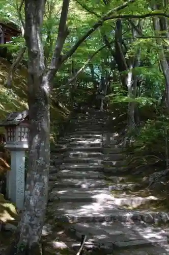 常寂光寺の建物その他