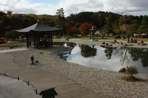 倶利迦羅不動寺鳳凰殿の自然