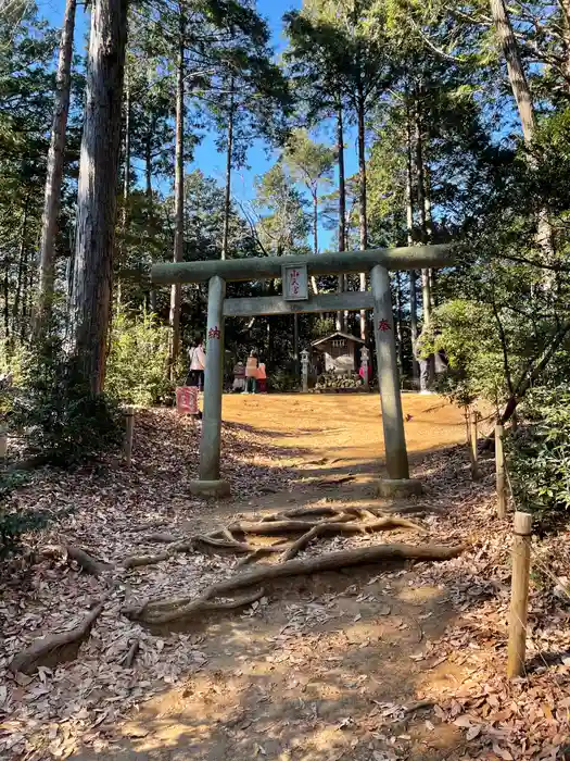 水天宮(高麗神社境外摂社)の鳥居