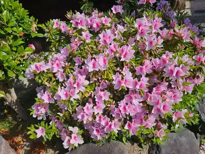 津観音(三重県)