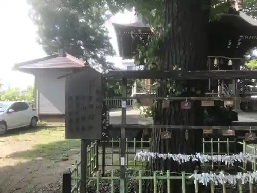 八幡橋八幡神社(神奈川県)