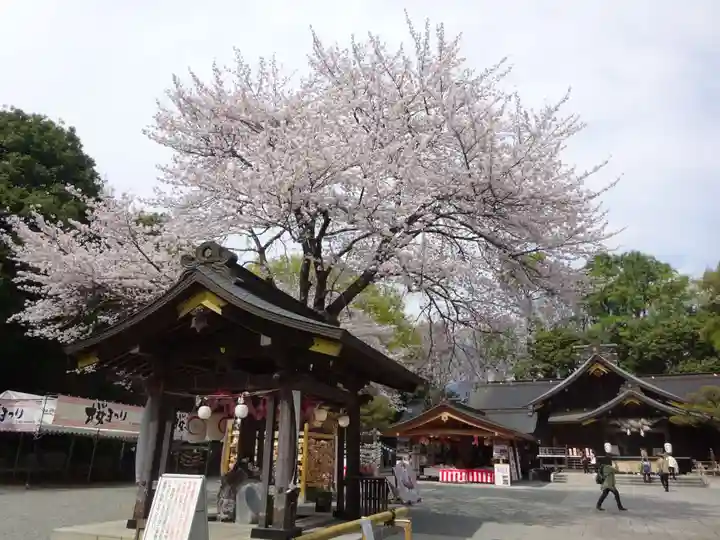 出雲大社相模分祠の自然