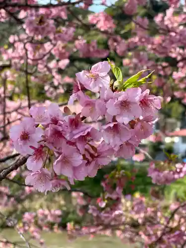 かっぱの寺 栖足寺(静岡県)