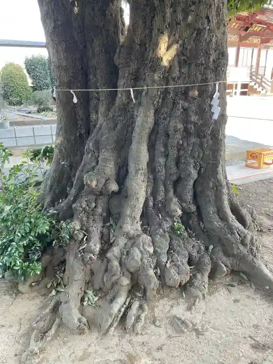 御嶽神社の{uncategorized: "未分類", other: "その他", undefined: "問題あり", building: "その他建物", grave: "お墓", sacred_gate: "鳥居", guardian: "狛犬", statue: "像", buddha: "仏像", history: "歴史", nature: "自然", garden: "庭園", animal: "動物", pagoda: "塔", temizu: "手水舎", mountain_gate: "山門・神門", sanctuary: "本殿・本堂", subordinate: "末社・摂社", art: "芸術", scenery: "景色", jizo: "地蔵", ema: "絵馬", goshuin: "御朱印", omikuji: "おみくじ", items: "授与品その他", amulet: "お守り", goshuincho: "御朱印帳", eats: "食事", festival: "お祭り", votive_dance: "神楽", shichigosan: "七五三参", wedding: "結婚式", experience: "体験その他", initially: "初詣", around: "周辺", anti_infection: "感染症対策"}