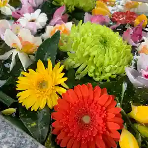 豊景神社の手水舎(2022年04月01日(金) 09時40分46秒投稿)