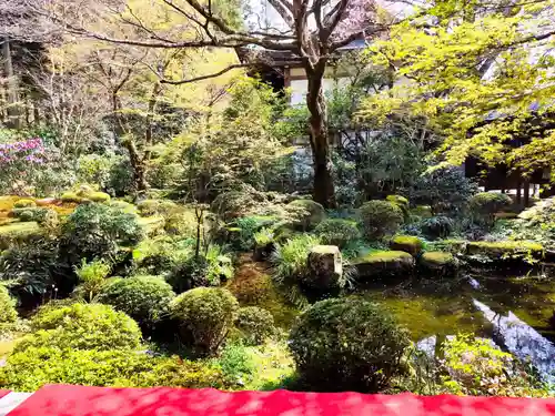 三千院門跡(京都府)
