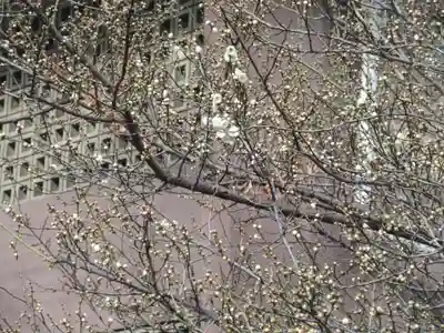 妙経寺(東京都)