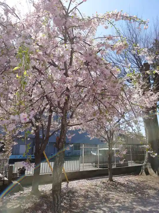 坂戸神社(埼玉県)