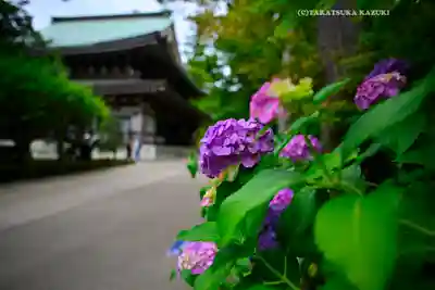 円覚寺(神奈川県)