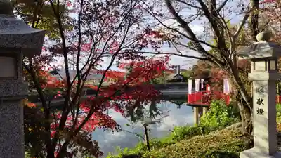 出雲大神宮(京都府)