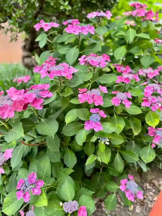 源九郎稲荷神社(奈良県)