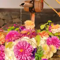 興聖寺(興聖寶林禅寺)(京都府)