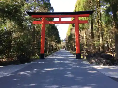 霧島神宮の鳥居