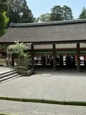 春日大社(奈良県)