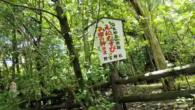 野宮神社(京都府)